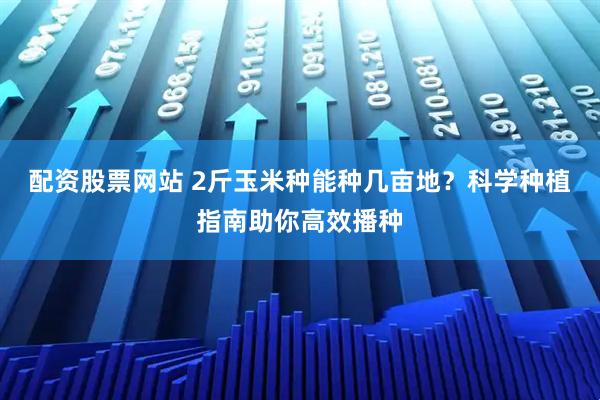 配资股票网站 2斤玉米种能种几亩地？科学种植指南助你高效播种