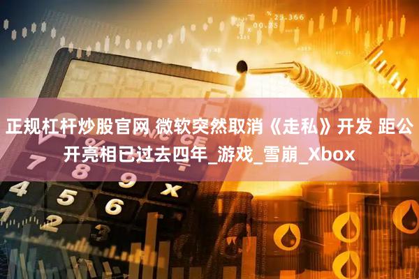 正规杠杆炒股官网 微软突然取消《走私》开发 距公开亮相已过去四年_游戏_雪崩_Xbox