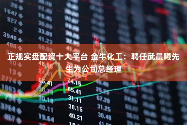 正规实盘配资十大平台 金牛化工:聘任武晨曦先生为公司总经理